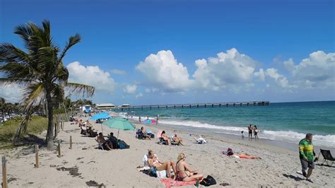 Dania Beach Cam Pier